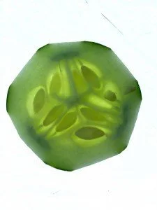 Cucumber