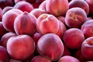 Fresh Peaches
