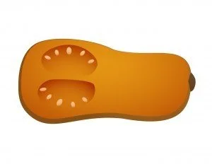 Butternut Squash