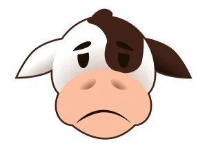 Antibiotics in Meat