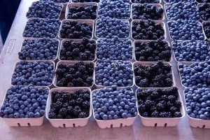 Berries