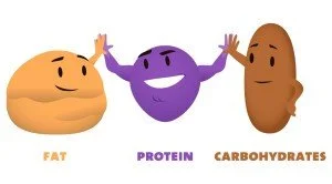 Fat Protein Carb