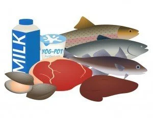 Sources of Vitamin B12
