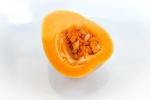 Butternut Squash