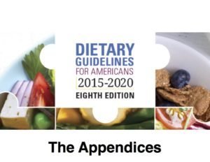 DGA AppendicesPage1