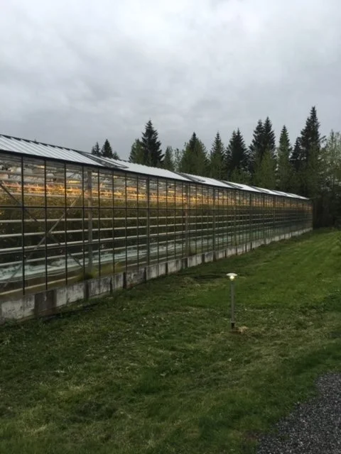 Outside Shot 2