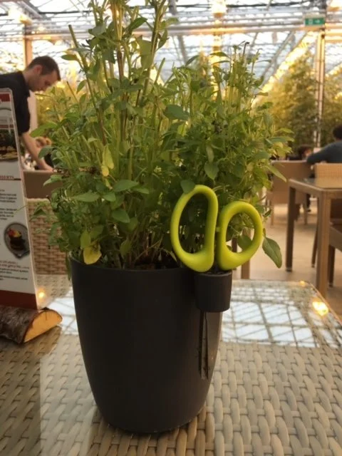 Herbs for Snipping