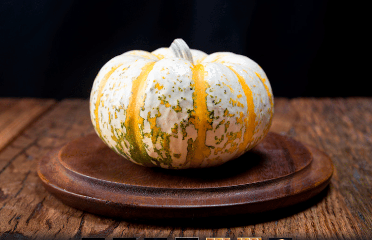 gourd