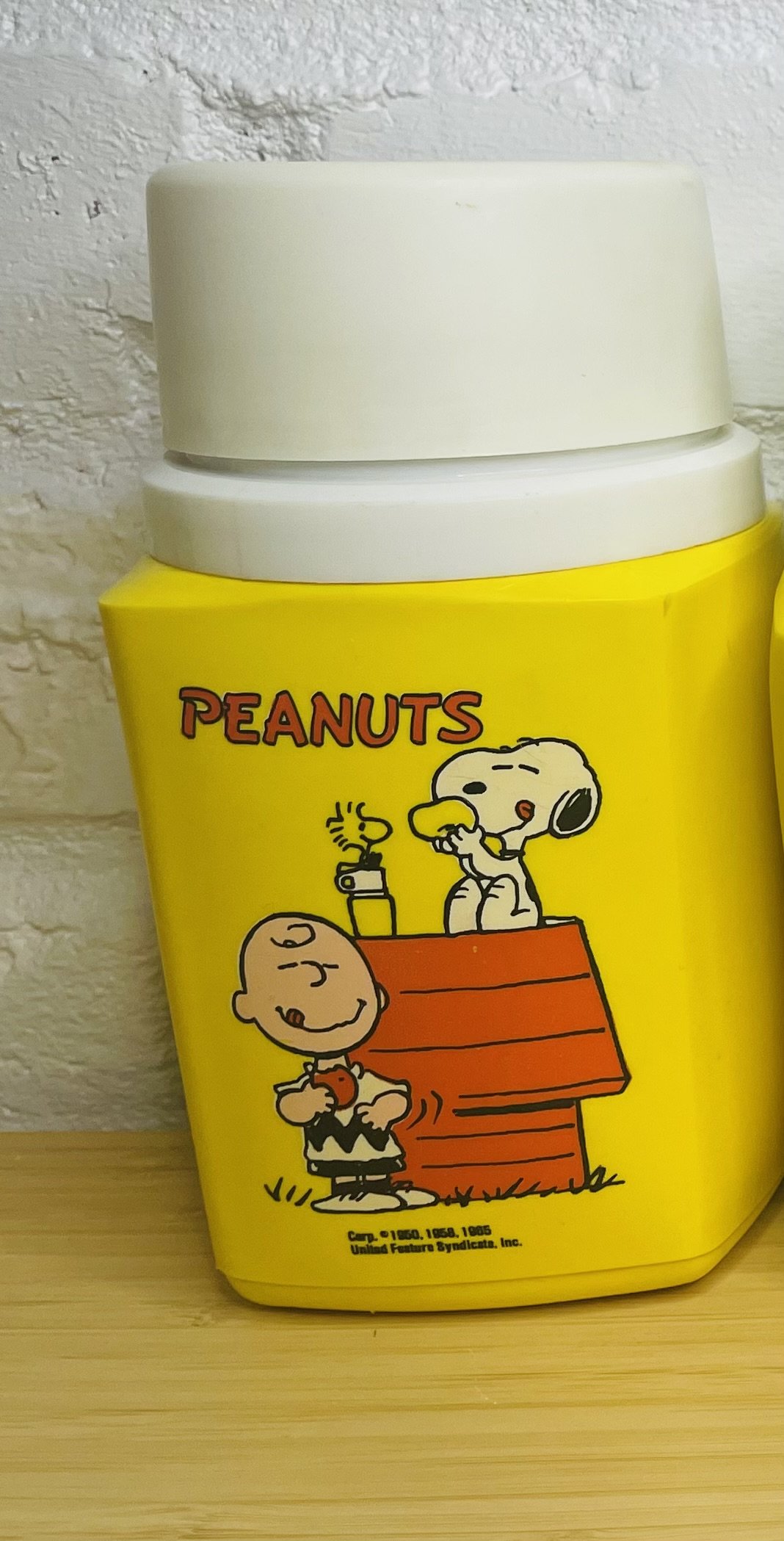 Charlie Brown Vintage Thermos Bottle (Vintage Charlie Brown Image)