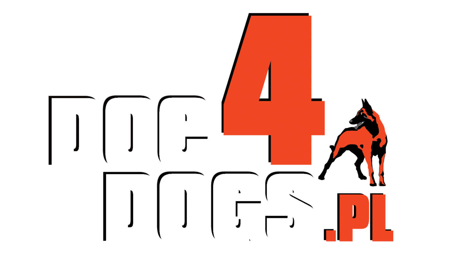 Doc4Dogs dr Ewa Adamkiewicz