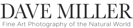 Dave Miller - Images of Natural Splendor