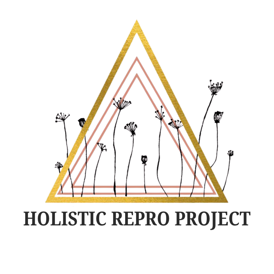 Holistic Repro Project