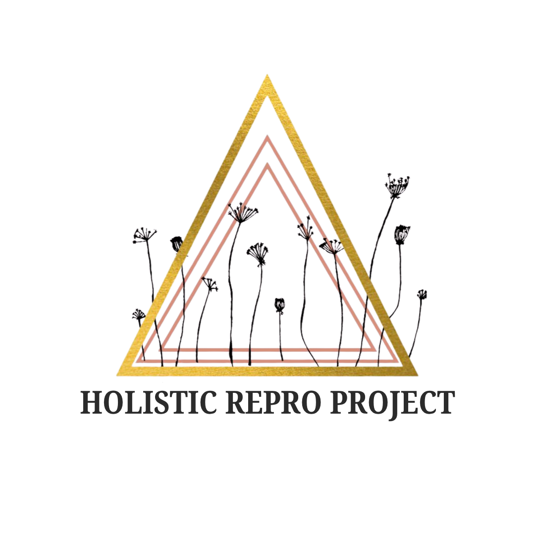 Holistic Repro Project
