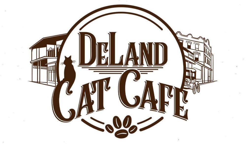 DeLand Cat  Cafe