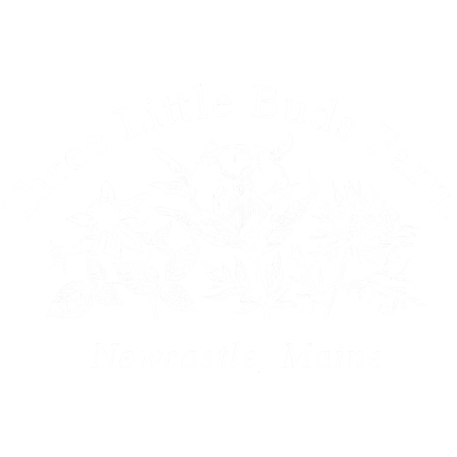 Three Little Buds Farm