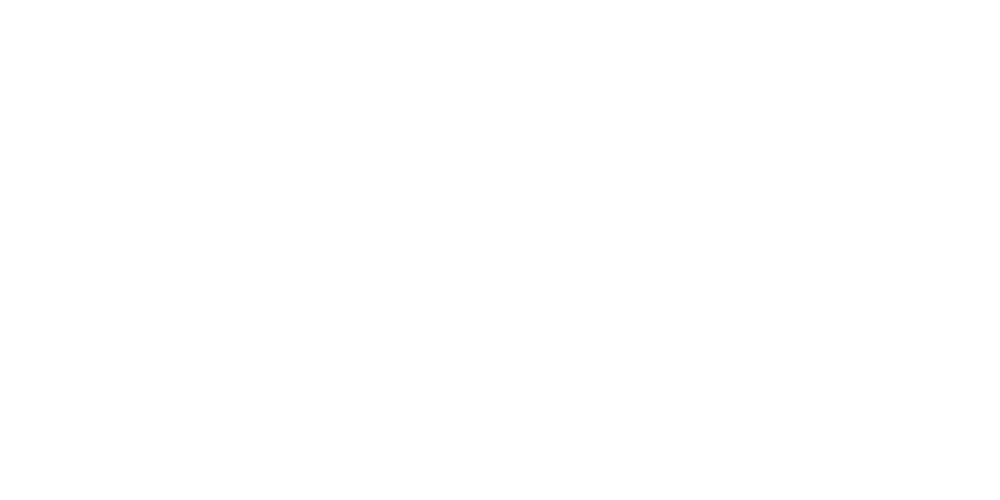 Wayne Burns Real Estate