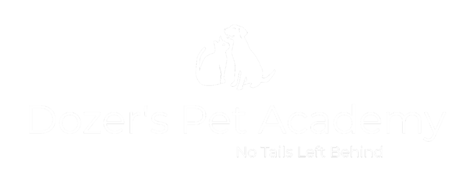 Dozer&#39;s Pet Academy