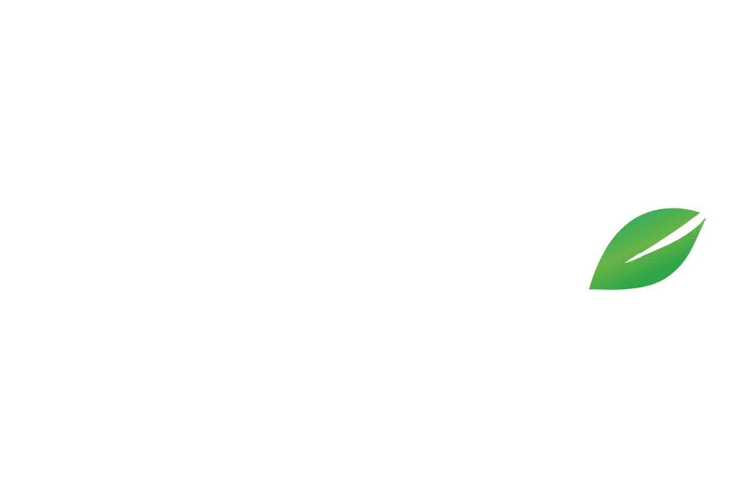 Mint Marketing Group