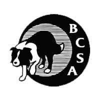 BCSA