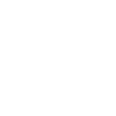 Mirror Icon