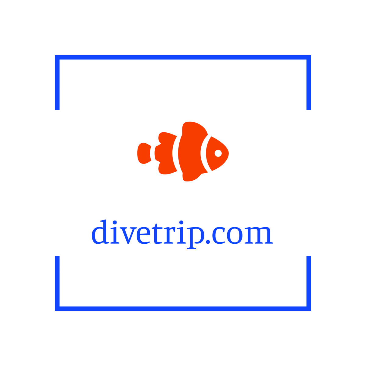 divetrip.com