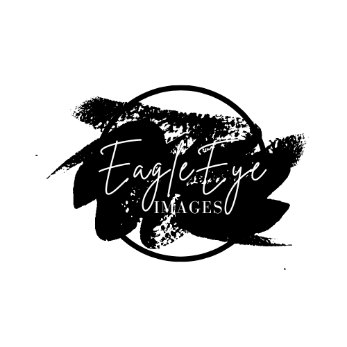 Eagle Eye Images, LLC