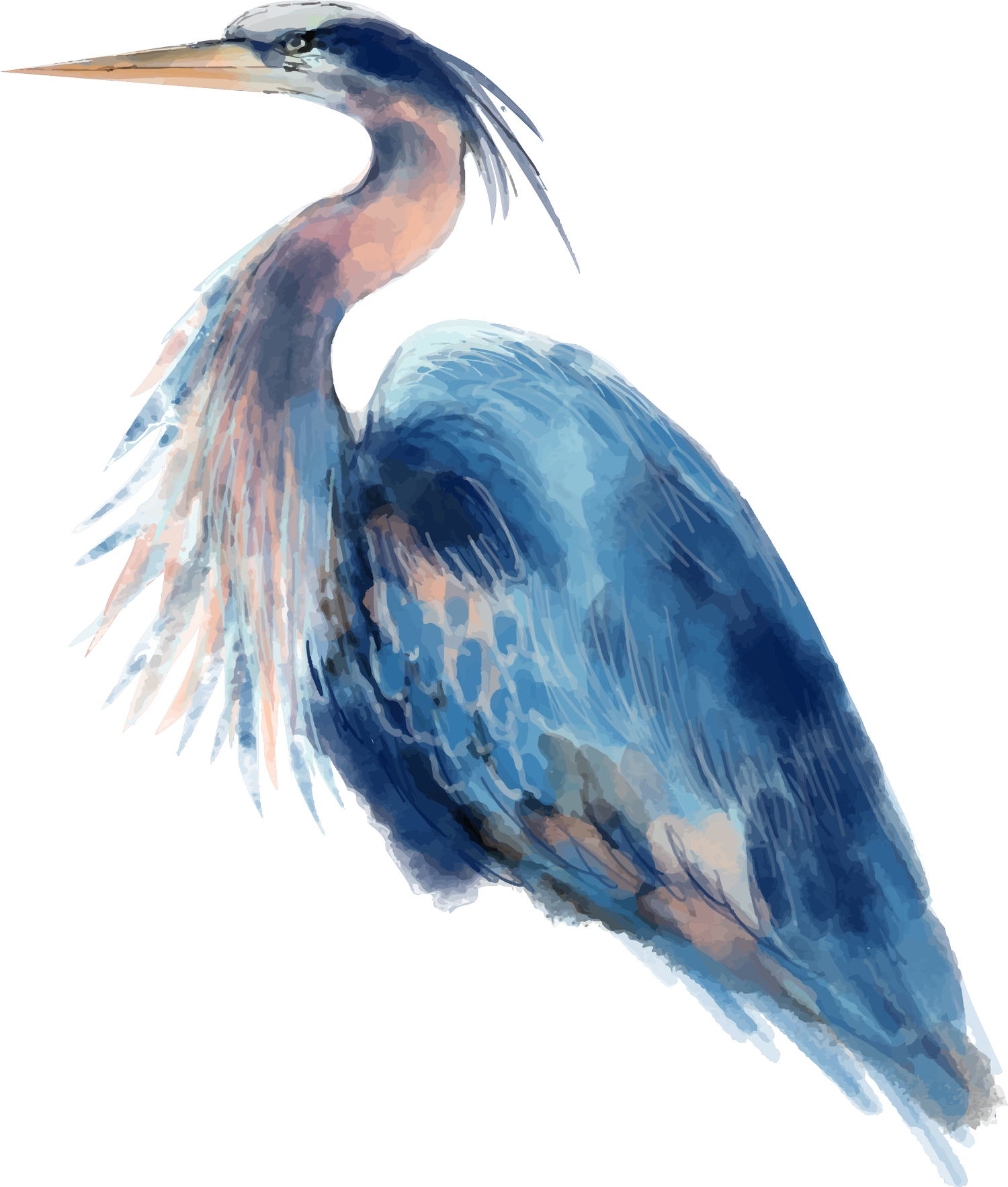 Blue Heron Acupuncture and Wellness