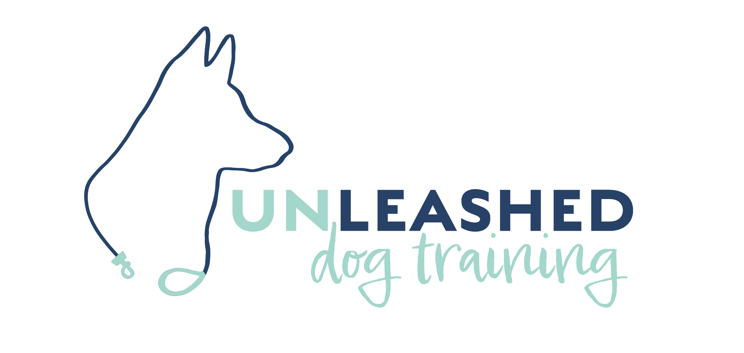 Unleashed Dog Training