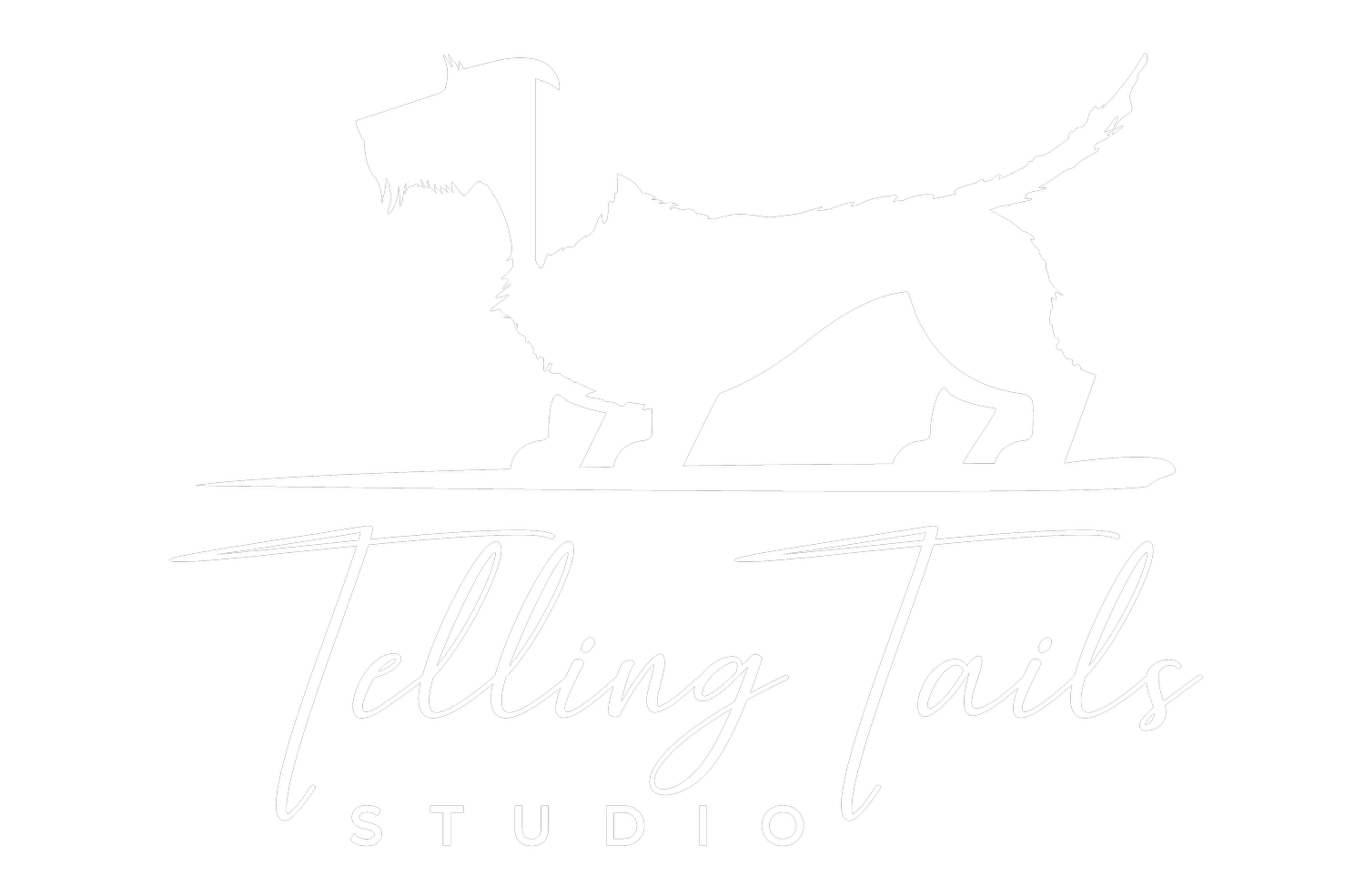 Telling Tails Studio