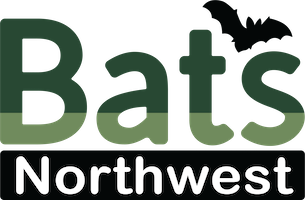 Bats Northwest