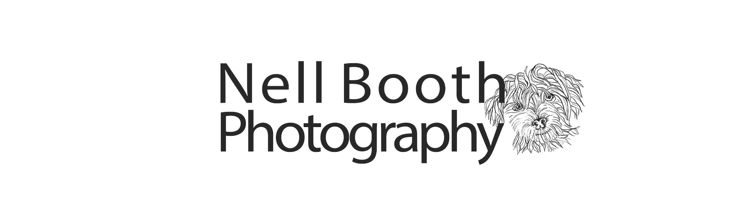 Nell Booth Dog Photography