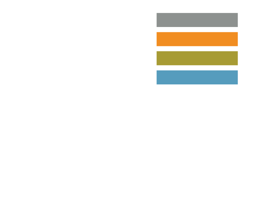 Coraggio Group