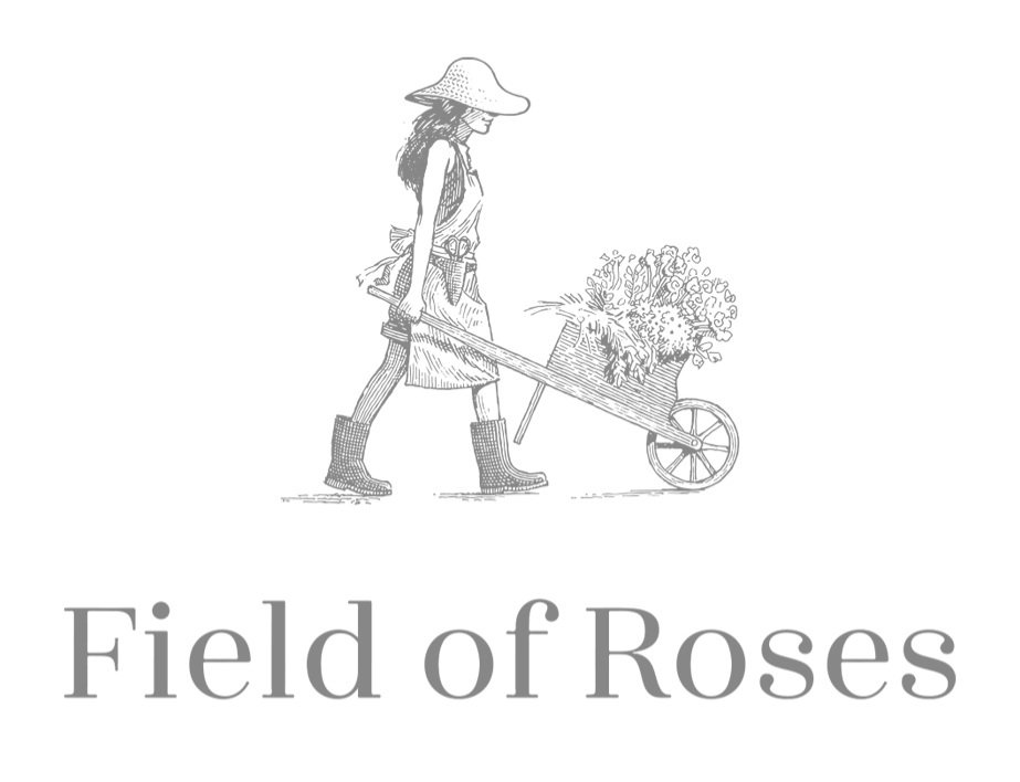 Field of Roses