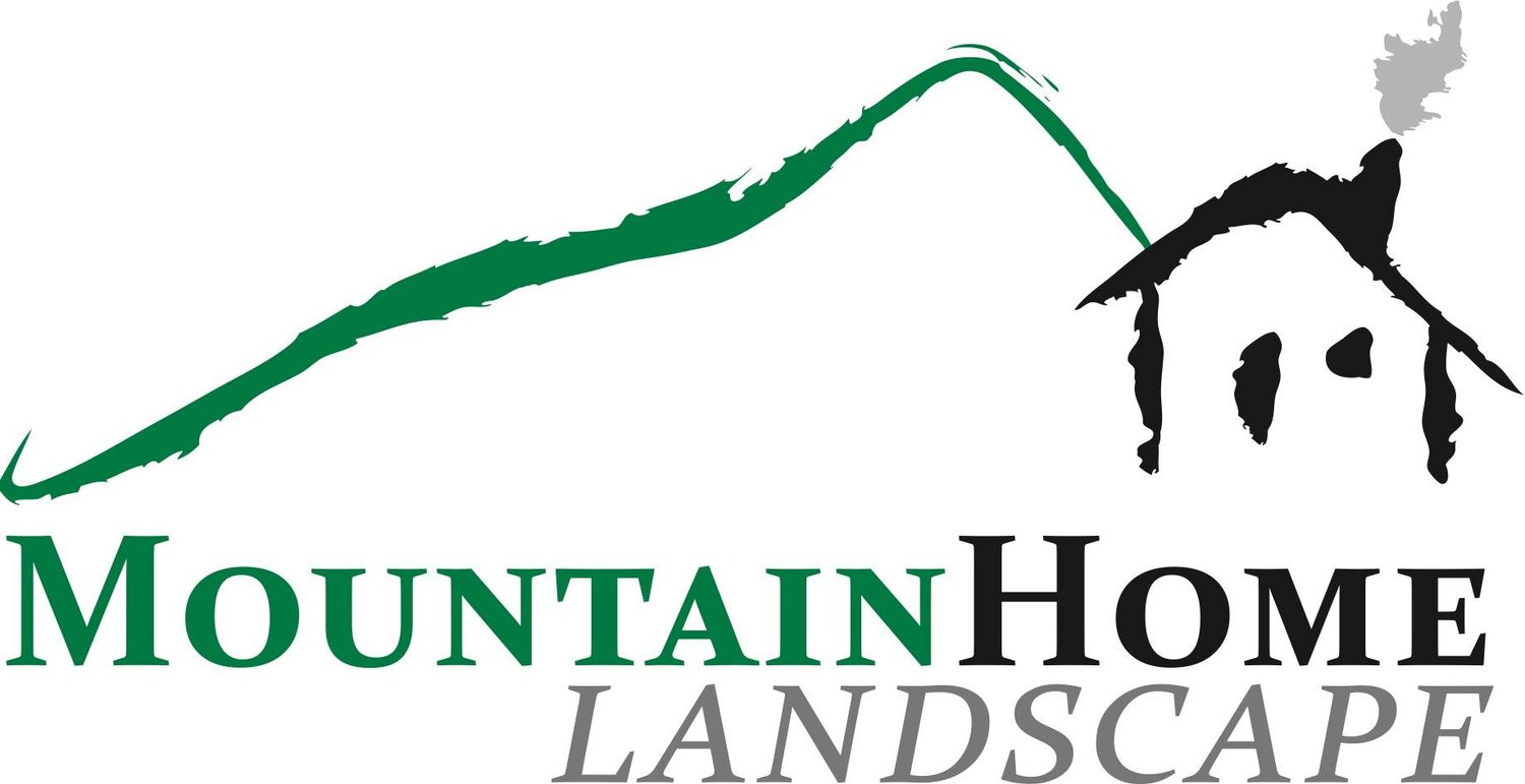 Mountain Home Landscape