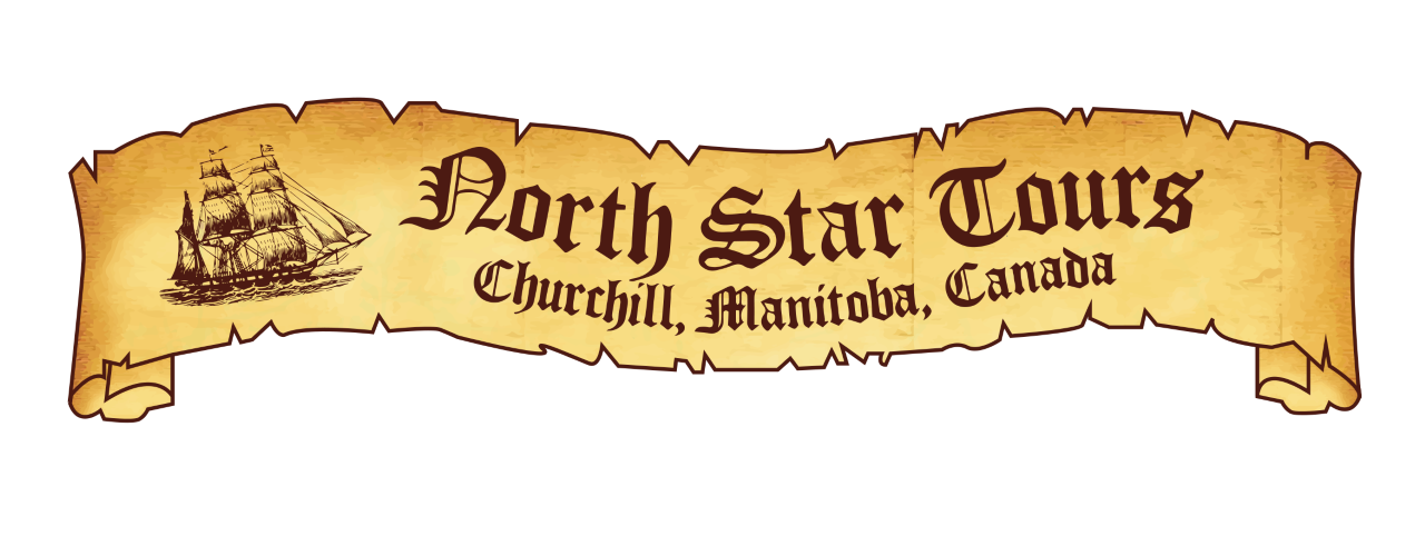 North Star Tours