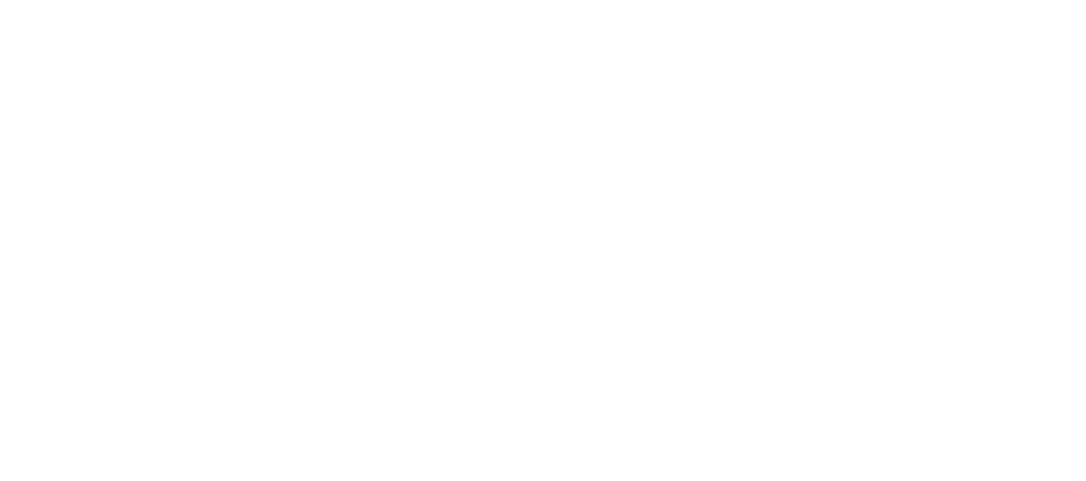 Zinex Mining Corp