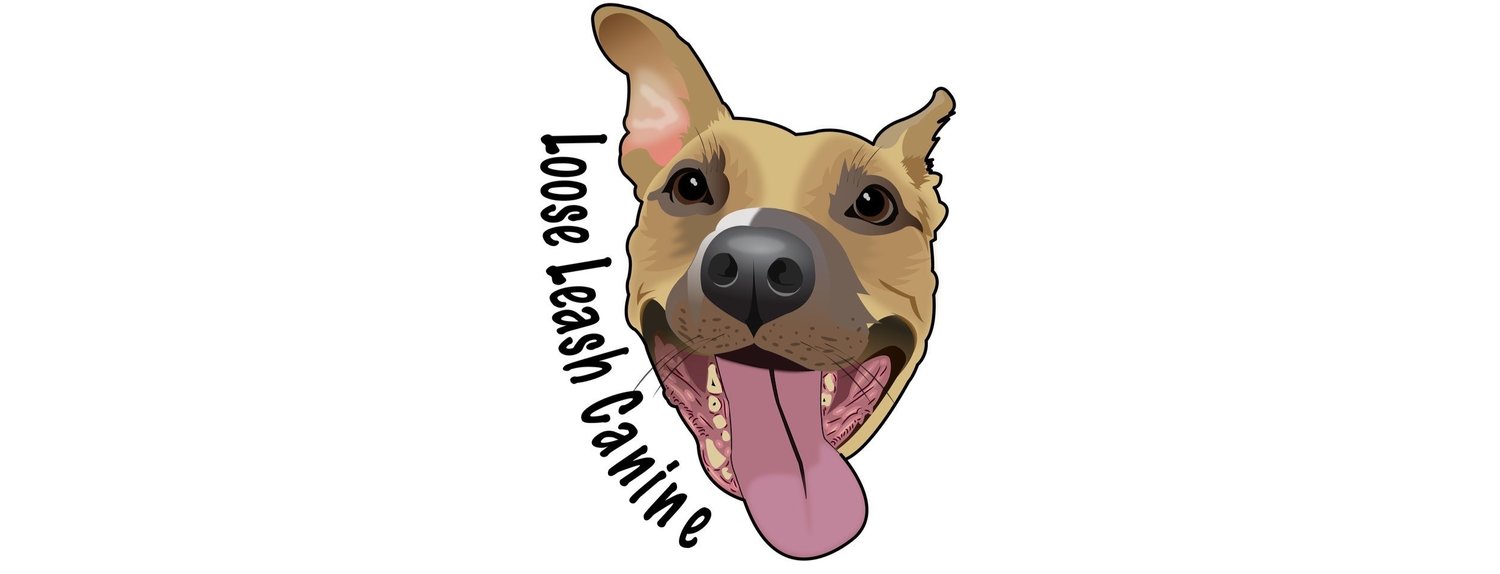 Loose Leash Canine | Professional Dog Training in NEPA