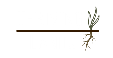 Thriving Lands
