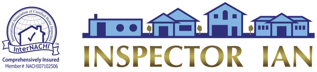 Inspector Ian