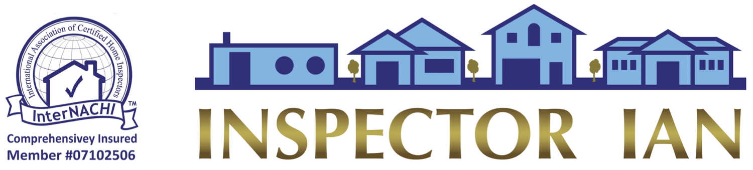 Inspector Ian