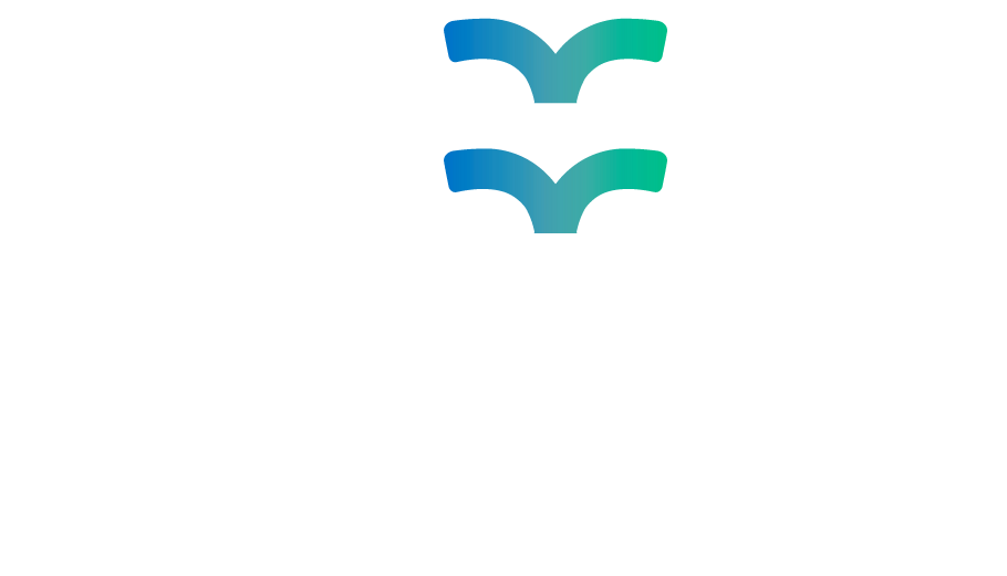 Flok Consulting