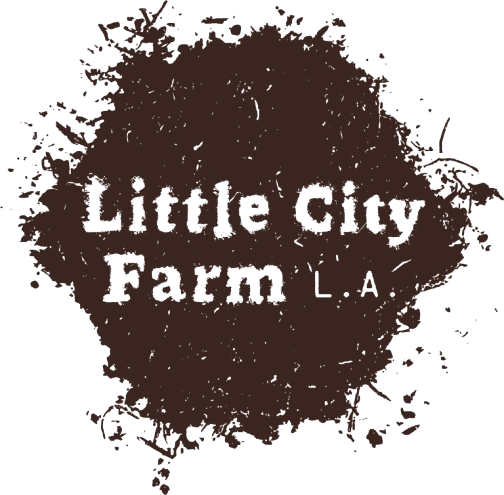 Little City Farm LA