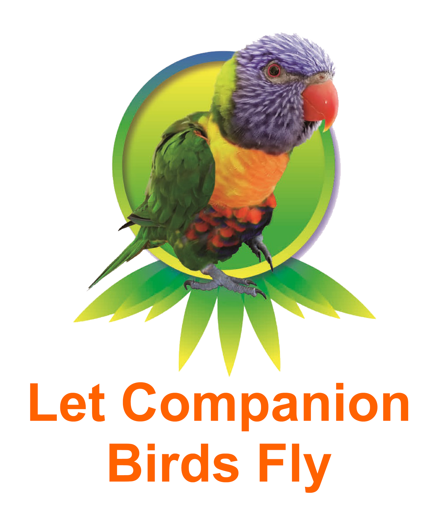 Let Companion Birds Fly