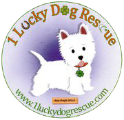1 Lucky Dog Rescue