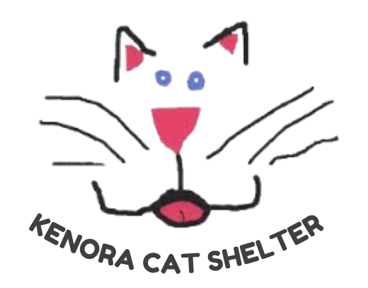 Kenora Cat Shelter