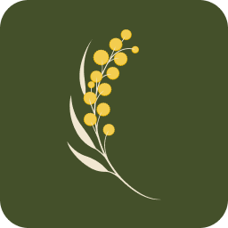 Wattle Physio