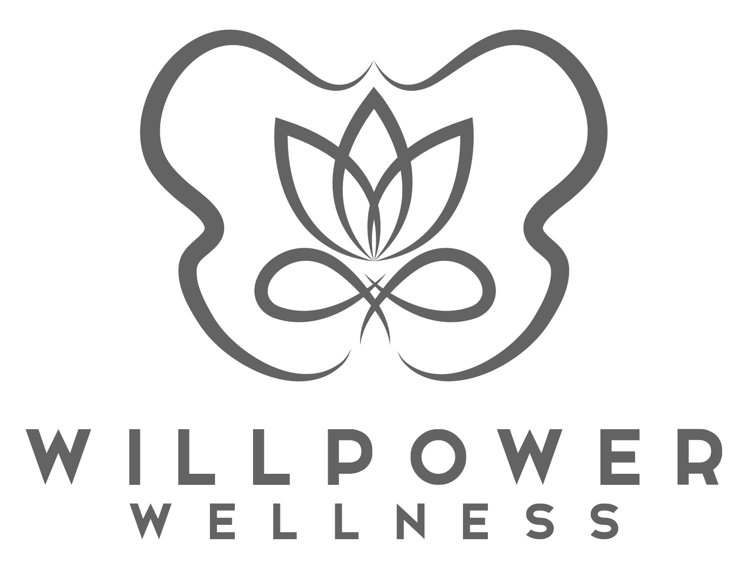 Willpower Wellness and Physical Therapy Los Angeles