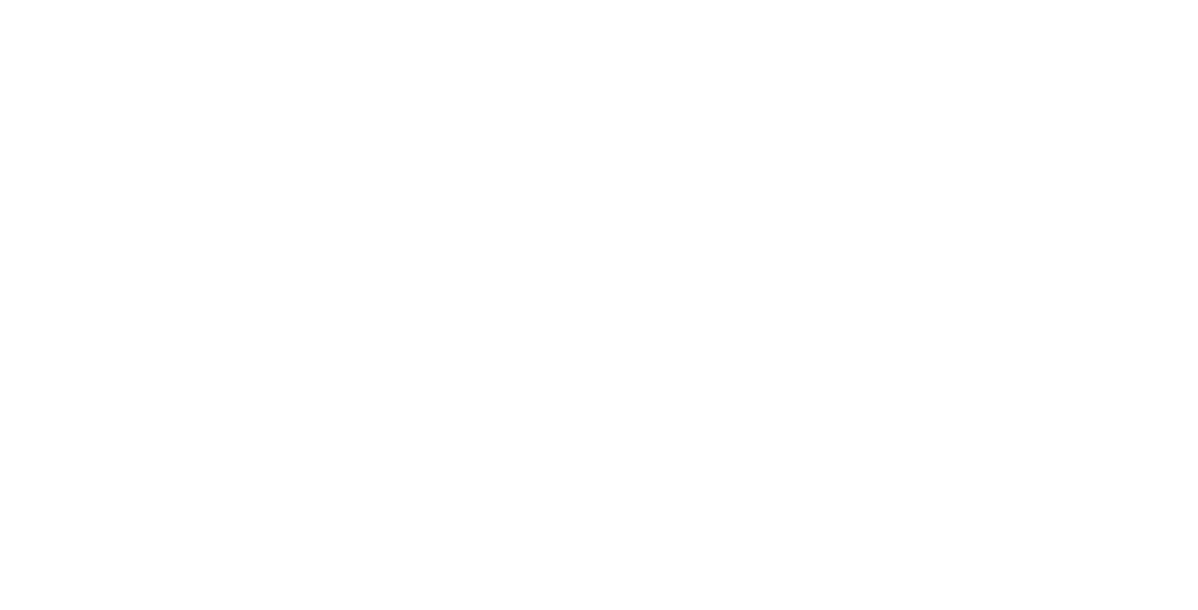 FADE IN: to FADE OUT.