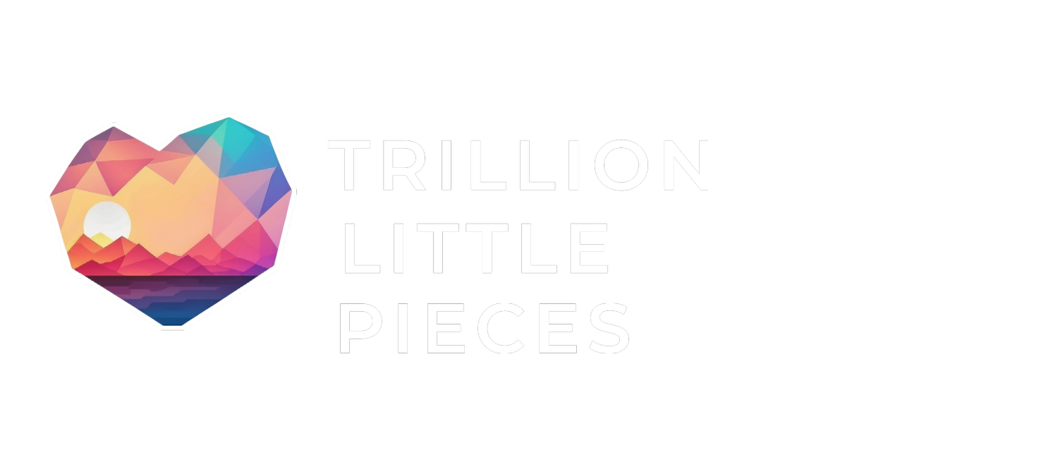 Trillion Little Pieces