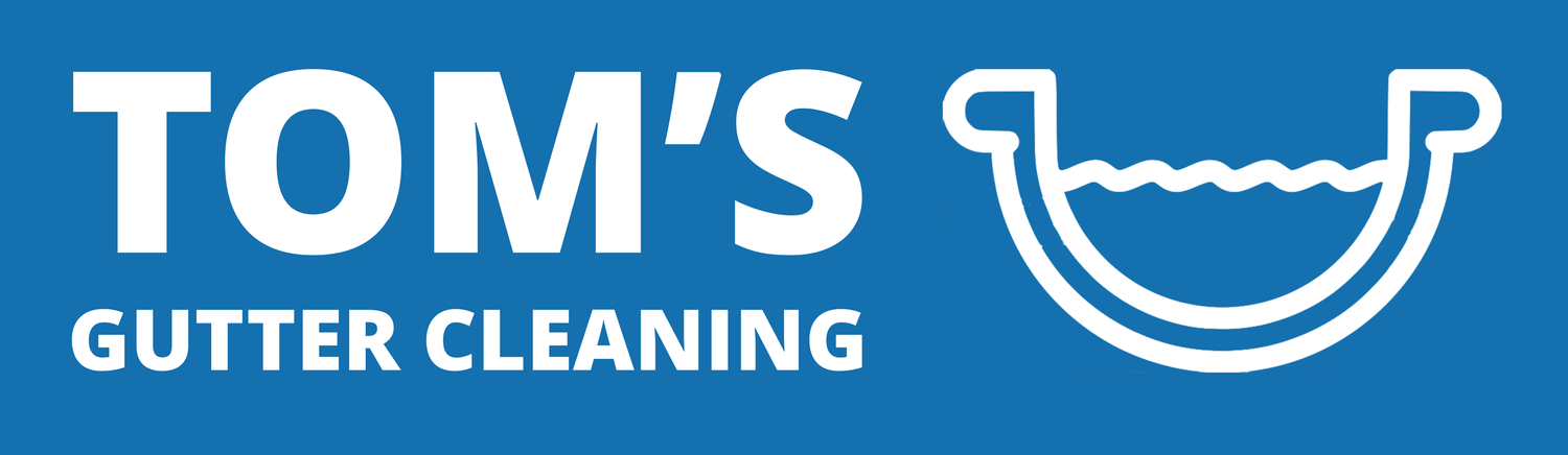 Tom&#39;s Gutter Cleaning in South East London, Bromley &amp; Croydon